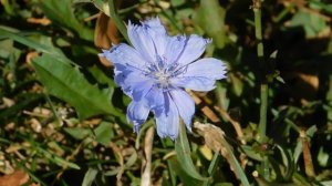 22==09==2025  ПВН  КМР   (170)