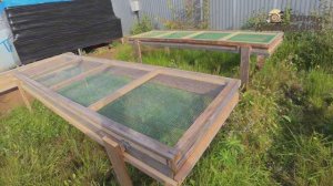 Помывочные столы на улиточной ферме: зачем нужны и как устроены