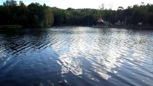 ОЗЕРО ТИХОЕ. СВЕТЛОГОРСК. КАЛИНИНГРАДСКАЯ ОБЛАСТЬ