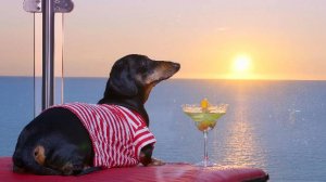 Никого не держать в своей жизни и радоваться счастливым моментам.