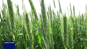 В ОРЕНБУРГЕ ОТКРЫЛАСЬ IV «ШКОЛА ФЕРМЕРА»