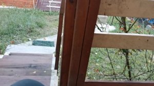 СОЧИ ГОРНОЕ ЛОО ВЕЧЕР 26.09.2025