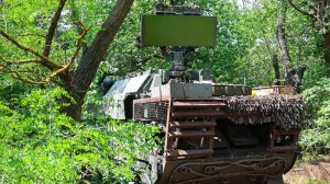 Силы ПВО за ночь уничтожили 55 украинских БПЛА над территорией РФ