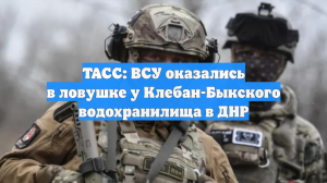 ТАСС: ВСУ оказались в ловушке у Клебан-Быкского водохранилища в ДНР