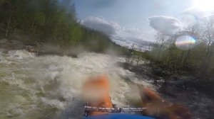 Пор. Кот Бегемот 5 к.с. р. Тованд 06.06.2025