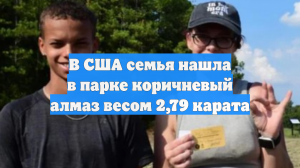 В США семья нашла в парке коричневый алмаз весом 2,79 карата