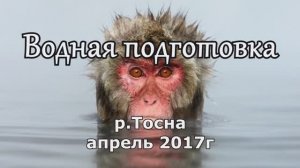 Водная подготовка апрель 2017 р.Тосна