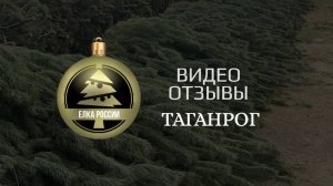 🎄Новогодняя Ёлка оптом | видеоотзыв ТАГАНРОГ