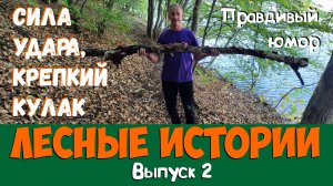 Лесные истории 2. Сила удара, крепкий кулак.