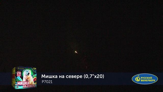 МИШКА НА СЕВЕРЕ P7021 смотреть онлайн