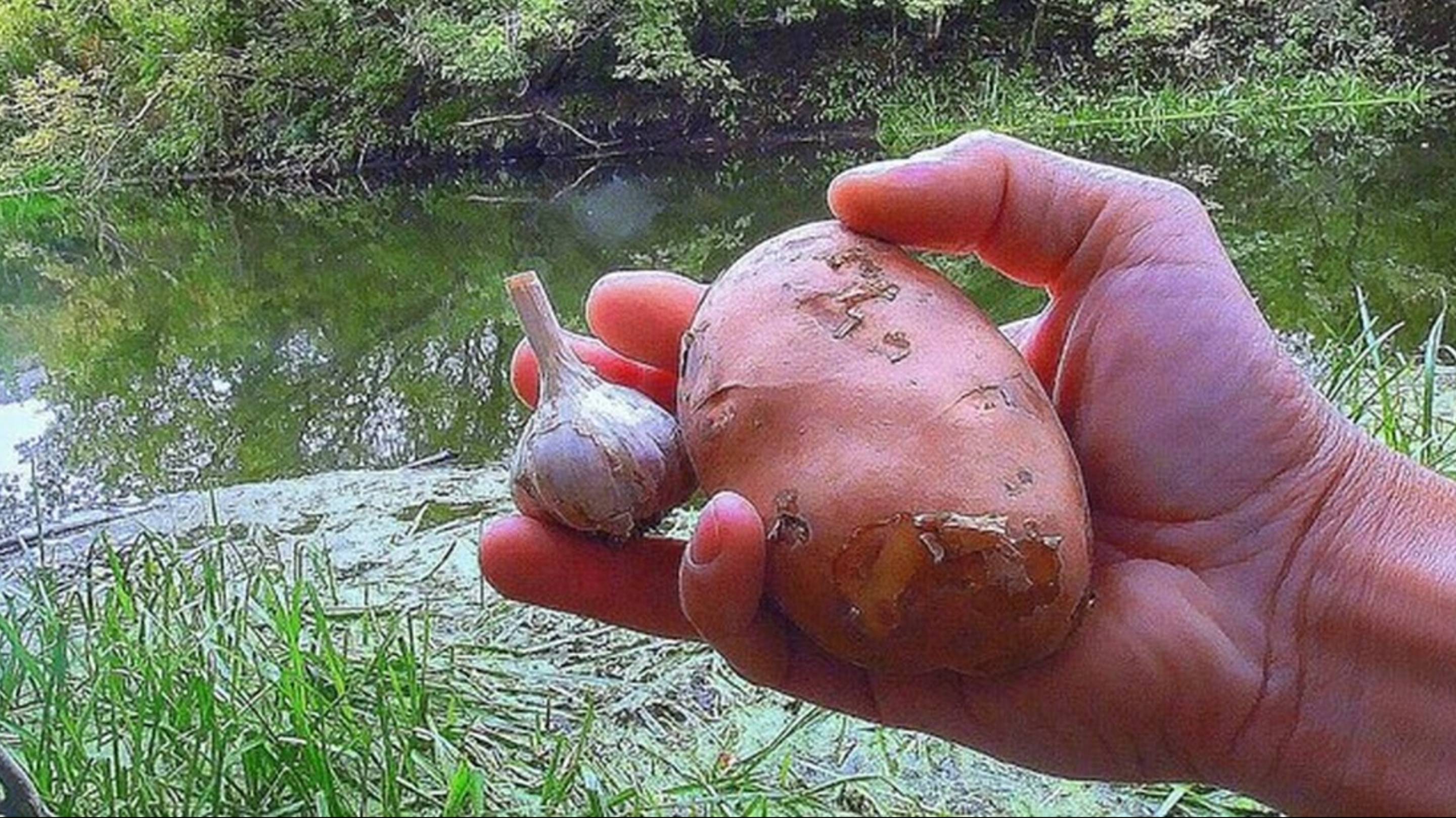 Кинул Картошку с Чесноком в речку и вот что произошло