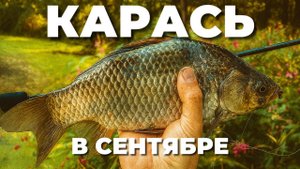 ЛОВЛЮ ТОЛСТЫХ КАРАСЕЙ в сентябре! Осенняя рыбалка на МОРМЫШИНГ И МИКРОДЖИГ.