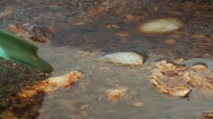 Куриный бульон по-французски