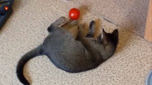 пишу музыку