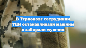 В Тернополе сотрудники ТЦК останавливали машины и забирали мужчин