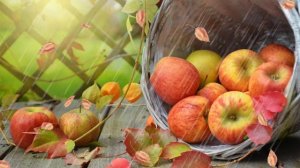 ФУТАЖ - ДОЖДЛИВАЯ ОСЕНЬ