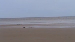 vatravel.ru Озеро Ильмень у д.Курецко (Новгородская обл)