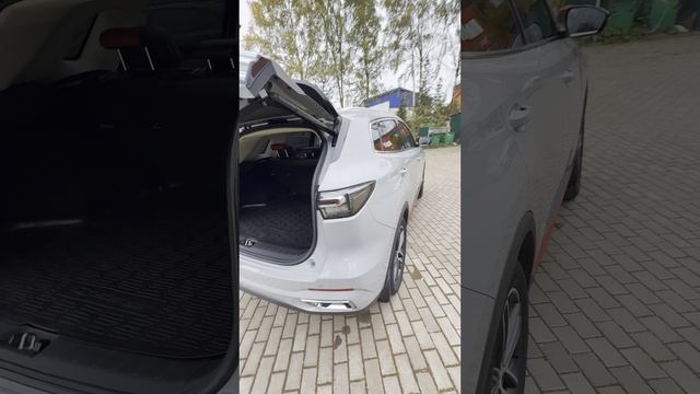 IMG_0819 смотреть онлайн