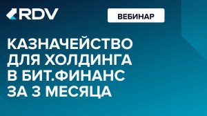 Казначейство для холдинга в БИТ.Финанс за 3 месяца