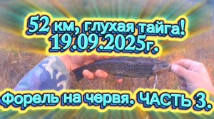 ФОРЕЛЬ НА ЧЕРВЯ! 52 КМ. ГЛУХАЯ ТАЙГА. ЧАСТЬ 3.19.09.2025Г. #форель #ловляфорели #природасеверногокра