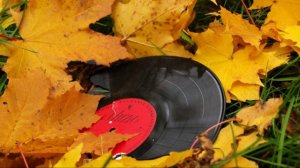 И опять во дворе...(перепевка,кавер-версия) Советские песни