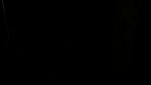 Куриный урожай 26 сентября 2025 - вне гнёзд