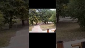 Парк Дубовое от Татьяны 26.09.25.