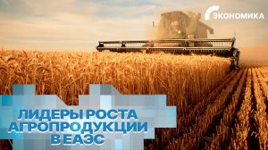 Сельхозпроизводство ЕАЭС растет. Кто в лидерах?