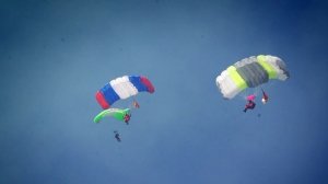 О сбережении лесных ресурсов