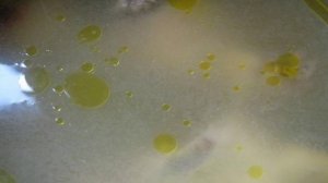 Куриный бульон с лапшой