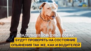 Владельцев бойцовых собак будут проверять на состояние опьянения так же, как и водителей