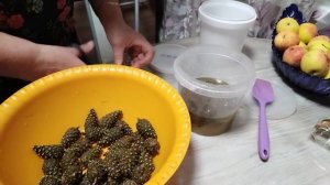 Сосновые шишки в мёде 👍