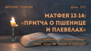 День 271. Матфея 13-14: Притча о пшенице и плевелах | Библия на каждый день | Библия на каждый день