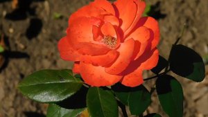 22==09==2025  ПВН  КМР   (165)