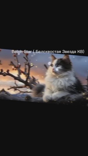 История БЗ. Опрос ответ:0 видео с озвучкой . не бейте пожалуйста