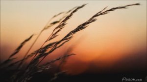 Дух Святой, прикоснись ко мне