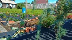 Работа на два сезона.