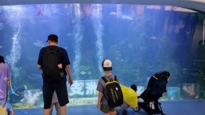 Знакомство с Китаем ,перелет Москва -Пекин,Пекин -Санья !