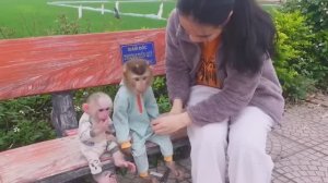 Обезьянки МАЛЕХА и БУКАШКА кроха маму обнимают в парке В репейник за ромашками попали По тренажо
