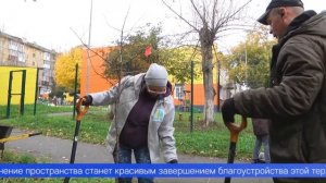 Молодые сибирские яблони теперь украшают улицу Ленина