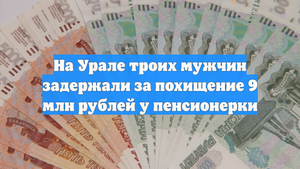 На Урале троих мужчин задержали за похищение 9 млн рублей у пенсионерки