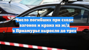 Число погибших при сходе вагонов и крана на ж/д в Приамурье выросло до трех