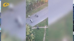 ЖЕЛЕЗНОГОРЕЦ ПОЖАЛОВАЛСЯ НА ВЫГУЛ СОБАКИ БЕЗ НАМОРДНИКА