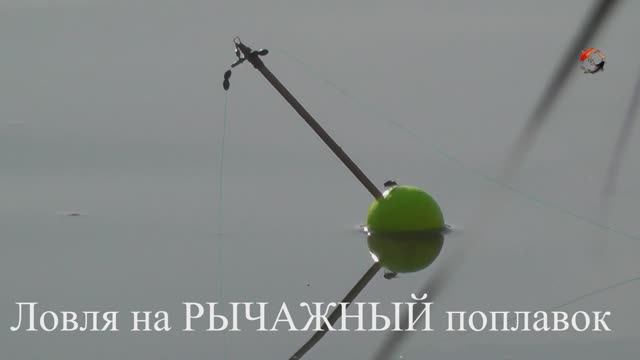 ЛОВЛЯ КАРАСЯ на РЫЧАЖНЫЙ Поплавок. БЕДРИНСКОЕ озеро. Рыбалка. Fishing смотреть онлайн