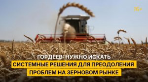 Гордеев: нужно искать системные решения для преодоления проблем на зерновом рынке