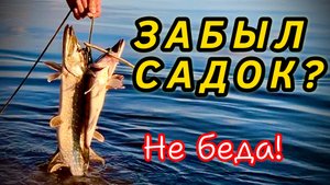 Как сохранить рыбу живой без садка или кукана