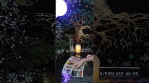 Таро-расклад