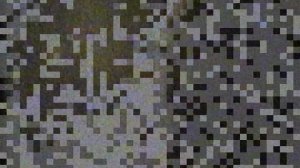 батю стригут. семейный архив сергеевых