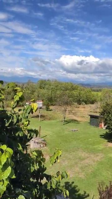 Продается уникальный земельный комплекс в с. Дранда Гулрыпшский район. 