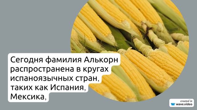 Фамилия Алькорн: история, происхождение и склонение - узнайте все о значении этой фамилии